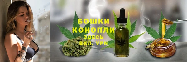 гидропоника Коряжма