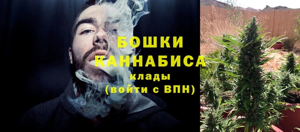 индика Карпинск