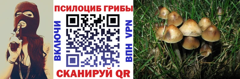 Псилоцибиновые грибы MAGIC MUSHROOMS  Карпинск 